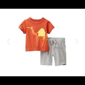 NWT hump Day Tea Collection 2 pc Set